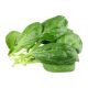 THAILAND SPINACH GREEN PER PACK (APPROX 150 GMS)