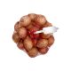 HOLLAND SHALLOTS PER PC