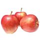 AFRICA APPLE GALA BABY PER KG