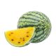 YELLOW WATERMELON OMAN PER KG