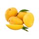 MANGO BADAMI INDIA PER KG
