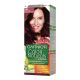 GARNIER COLOR NATURALS 4.62 SWEET CHERRY