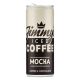 JIMMYS ICE COFFEE MOCHA 250 ML