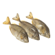 FRESH SAFI PER 1KG