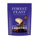 FOREST FEAST SALTED DARK CHOCOLATE CASHEWS 20 GMS
