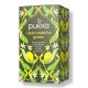 PUKKA CLEAN MATCHA GREEN (20BAGS) 30 GMS