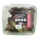 DAR AQUA LOLLO ROSSA LETTUCE 250 GMS