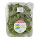 DAR AQUA RED OAK LEAF LETTUCE 250 GMS