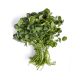 BAHRAIN WATER CRESS PER PACK