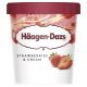 HAAGEN-DAZS MACADAMIA NUT BRITTLE ICE CREAM 460 ML