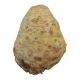 HOLLAND CELERY ROOT PER KG