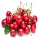 SOUTH AFRICA CHERRIES PER KG