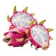 TAIWAN DRAGON FRUIT PER KG