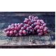 TURKEY GRAPES RED PERU PER KILO