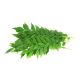 INDIAN CURRY LEAVES PER KG