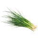 SPRING ONION PER KG