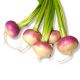 LOCAL TURNIP PER KG