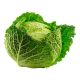 HOLLAND SAVOY CABBAGE PER KG