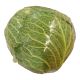 HOLLAND SAVOY CABBAGE PER KG