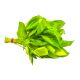 BAHRAIN SWEET BASIL PER PC