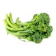 HOLLAND BROCCOLINI PER PACK