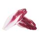 HOLLAND CHICORY RED PER KG