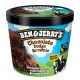 BEN AND JERRY'S CHOC FUDGE BROWNIE ICE CREAM 100 ML