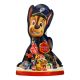 PAW PATROL LOLLIPOP FUN PACK 10 GMS