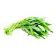 THAILAND MORNING GLORY PER PC