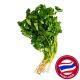 THAILAND PARSLEY PER PACK (APPROX - 100 GMS)