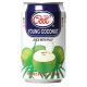 ICECOOL COCONUT JUICE 310 ML