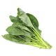 THAILAND CHINESE KALE KANA BAI PER PACK 200 GMS