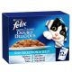 FELIX DOUBLY DELICIOUS FISH SELECTION IN JELLY 12X85 GMS