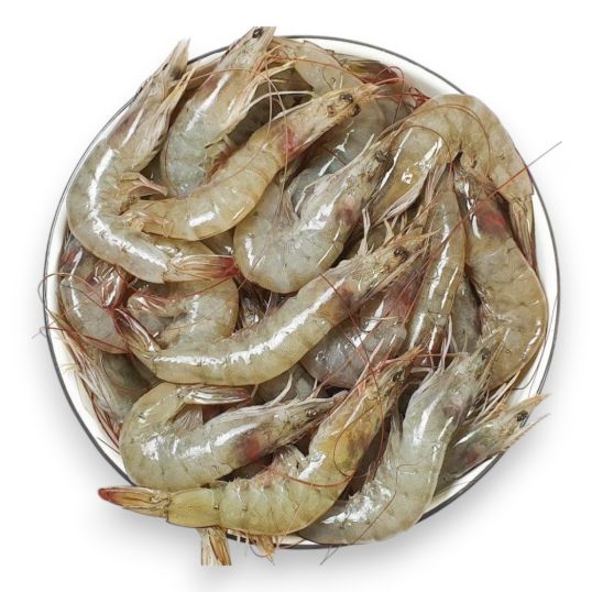 AL JAZIRA PRAWNS FRESH MEDIUM PER KG