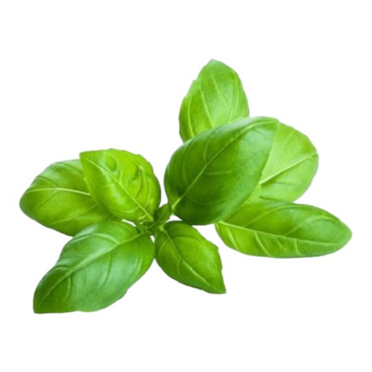 THAILAND BASIL PER PACK (APPROX 100 GMS)