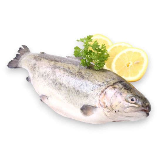 AL JAZIRA TROUT FISH PER KG