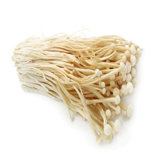 SPAIN ENOKI MUSHROOM PER PC