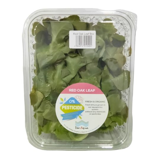 DAR AQUA RED OAK LEAF LETTUCE 250 GMS