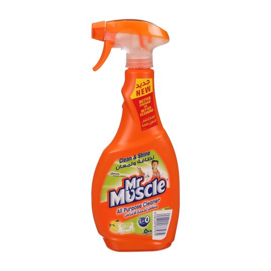 MR.MUSCLE 5 IN 1 ALL PURPOSE CLEANER 500 ML