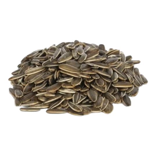 BAYARA SUNFLOWER SEEDS SALTED - CHINA PER KG