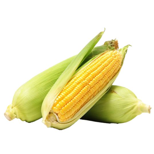 SWEET CORN LOCAL PER KG