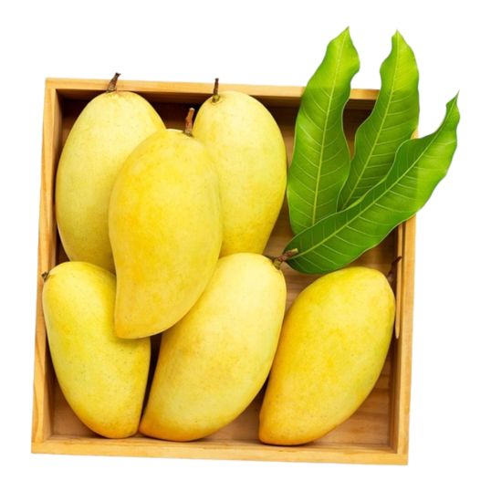 INDIA CHAUSA MANGO PER KG