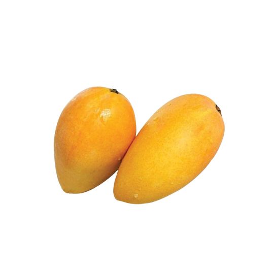 MANGO MALLIKA INDIA
