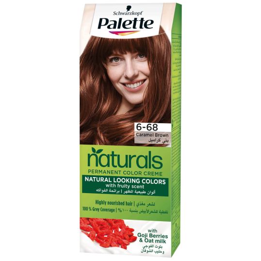 PALETTE HAIR COLOR ASSORTED 2X110 ML SPL.PRICE