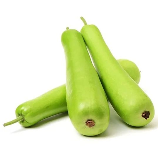 INDIA BOTTLE GOURD WHITE PER KG