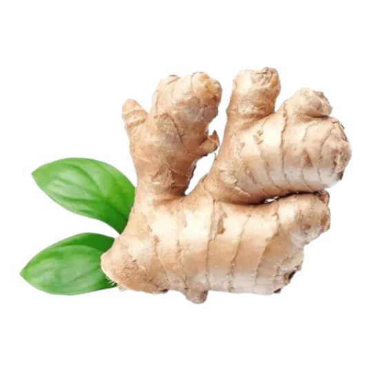 INDIAN GINGER PER KG