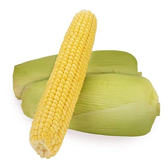 THAILAND SWEET CORN PER KG