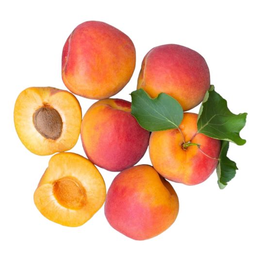 SPAIN APRICOT PER KG