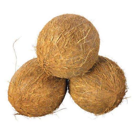 INDIAN COCONUT
