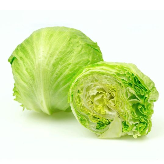 HOLLAND ICEBERG LETTUCE PER KG